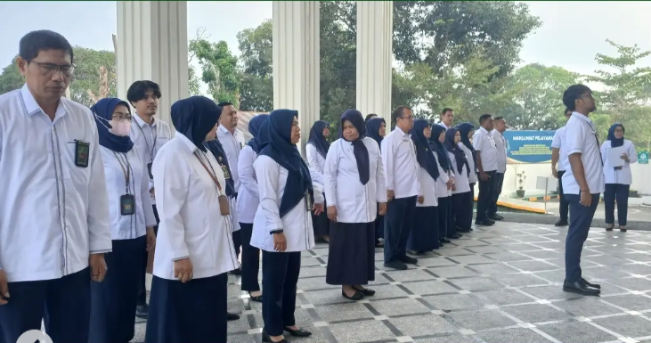Apelsenin2